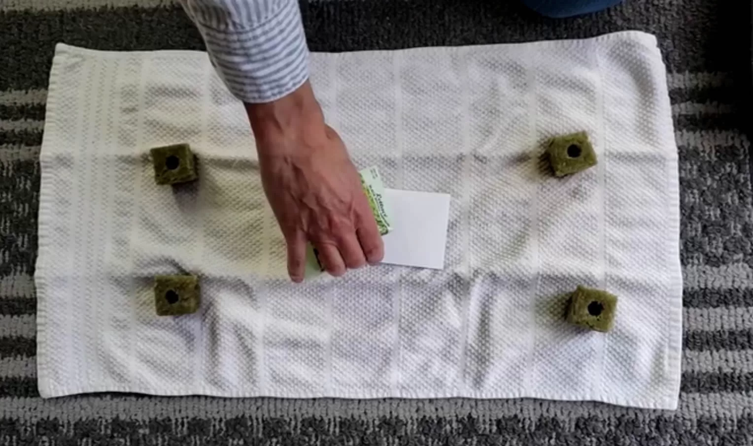 Planting seeds with your students