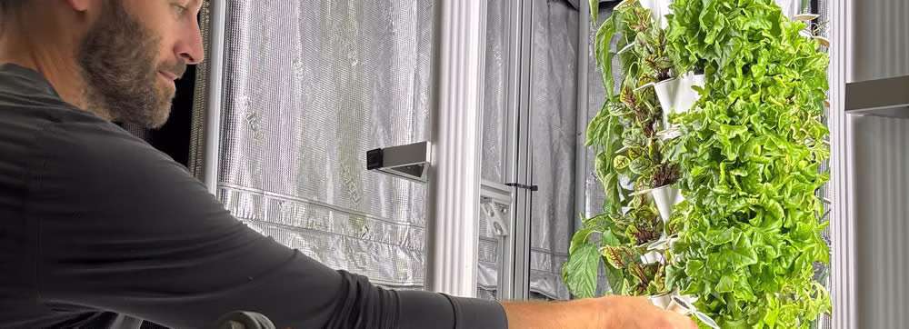 Man planting lettuce in the Anu growing system