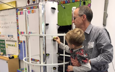 Where is the Best Place to Put a Hydroponic System in Your School