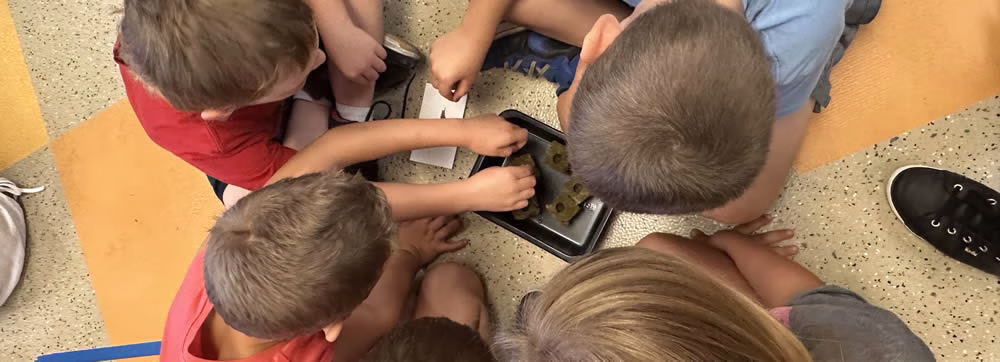 Students planting seeds to grow plants for the Tower Garden