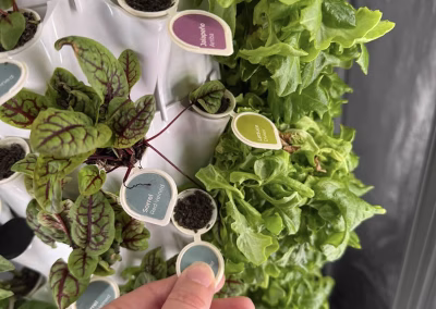 Anu vertical gardening system grow pods