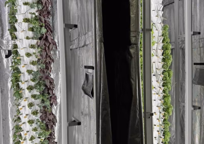 Anu vertical gardening system growing plants