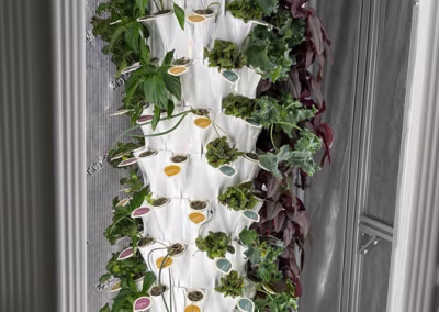 Anu vertical gardening system growing plants