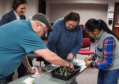Planting Seeds in rockwool