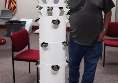 Placing seedlings into the Tower Garden