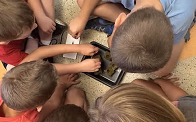 What is the Best Hydroponic Gardening System for a Classroom?