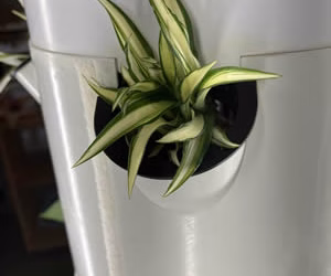 Can a Tower Garden Be Used to Propagate Plants?