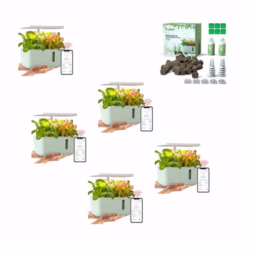 Little Hands LetPot Hydroponic Kit for School Classrooms